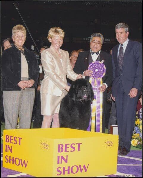 Dave Helming with CH Darbydale’s All Rise Pouch Cove (Josh) Best in Show at Westminster in 2004.