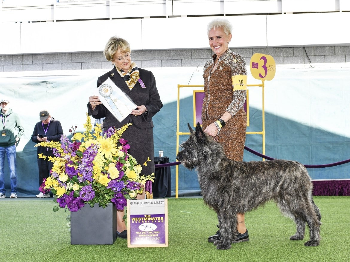 Valerie Black breeder of La Vie en Rose Picards