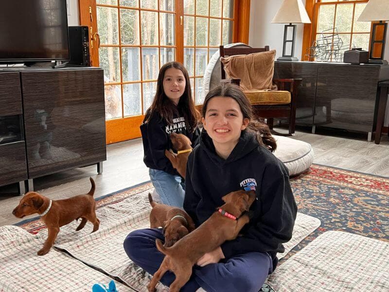 Two girls playing with dogs.