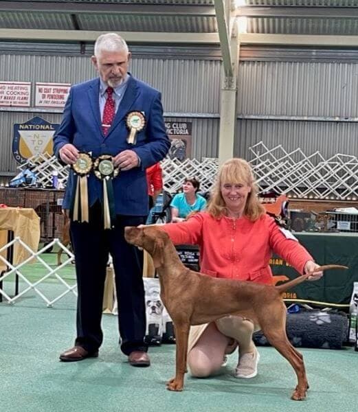 The runner-up Challenge Bitch was the Australian-bred Graebrook Sins Of A Rouge (AI).