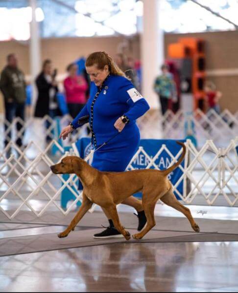 Julie Buss with her dog at the dog show.