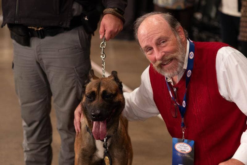 Belgian Malinois K-9 Cop ‘Rom’ at the National Dog Show in Philadelphia.