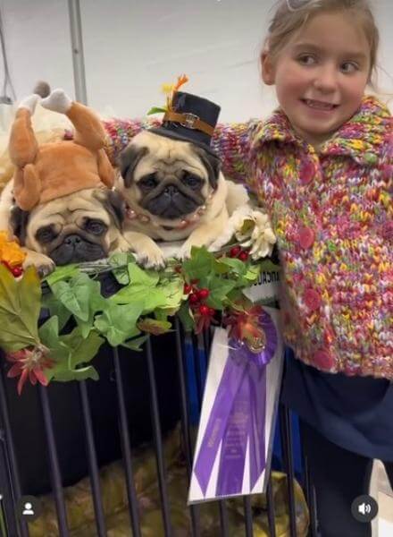 Little girl and two pugs.