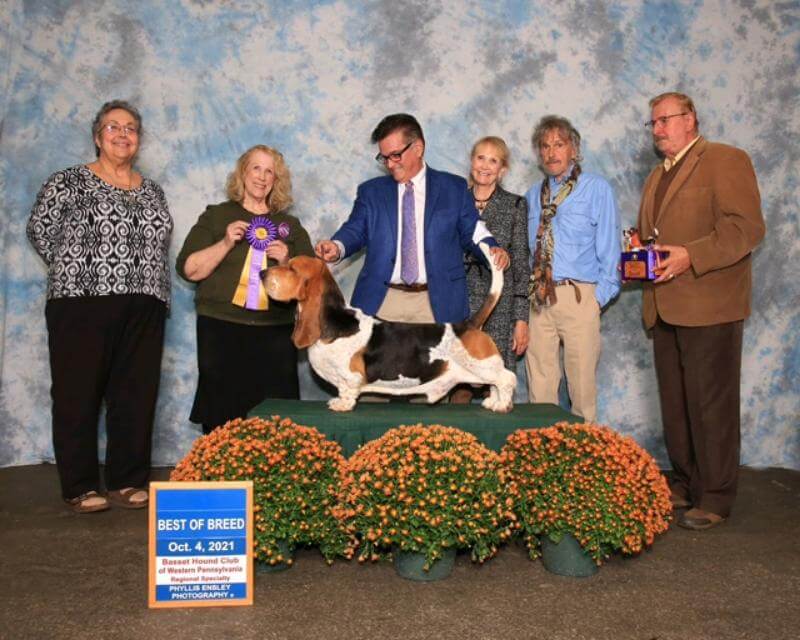 Mike Stone with his dog at the dog show.