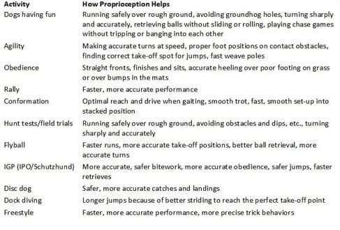 A photo of a table that lists examples of canine activities that get a major assist from proprioception.