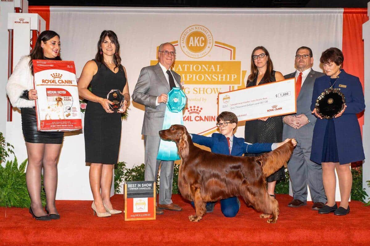 ‘Stryker’ & Adam Kucera - AKC 2023 NOHS Best in Show