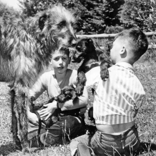 1960 (June) Zatopek, Bayard with Dylana, Eric with Sea Siren