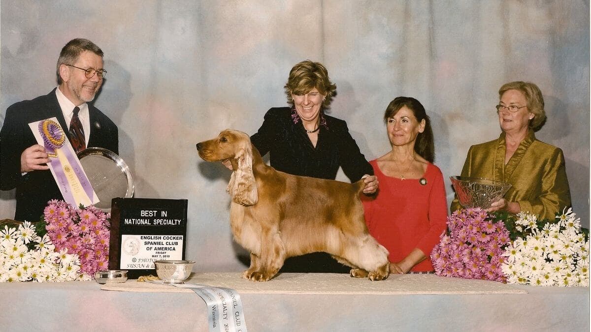 BIS NBISS GCH Majestic’s Keeping The Drama