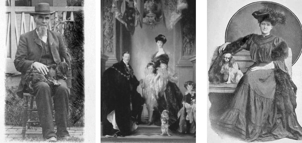 History of the English Toy Spaniel