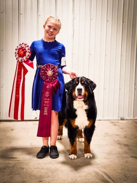 Raini Johnson with her Bernese Mountain dog