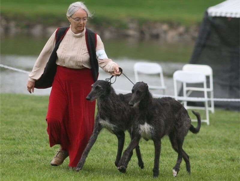 Barb Heidenreich with Vesper & Bella