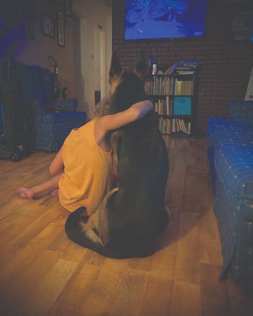 AKC Humane Fund ACE Award Winner – Service Dog: Hank