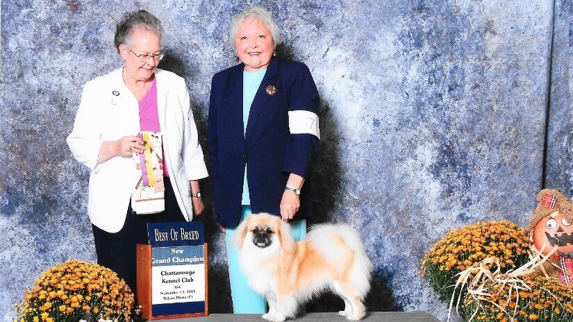 Lynn Miller Kofuku Tibetan Spaniels