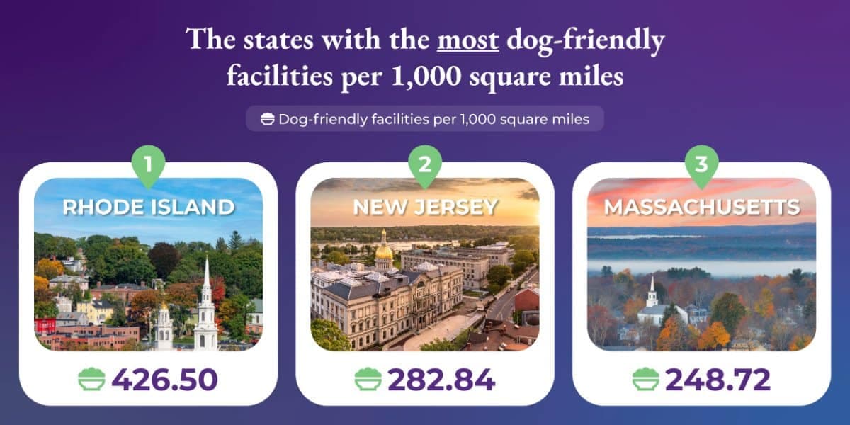 The states with the most dog-friendly facilities per 1,000 square miles