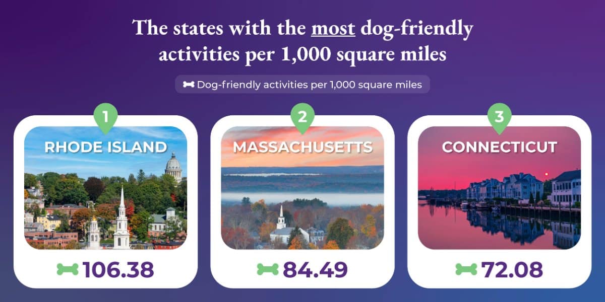The states with the most dog-friendly activities per 1,000 square miles