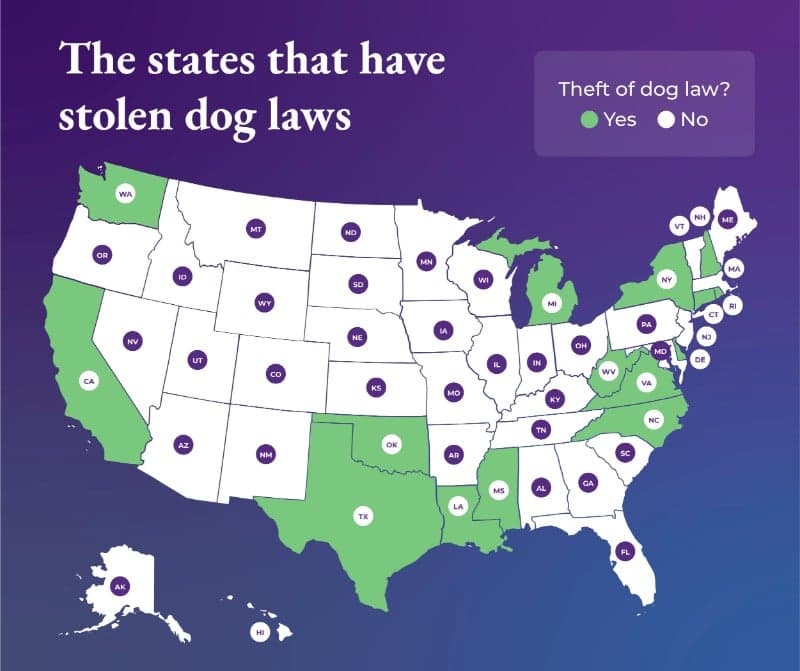 The states that have stolen dog laws