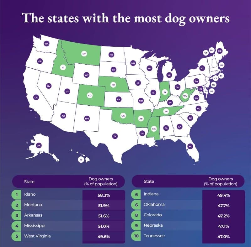 The states with the most dog owners