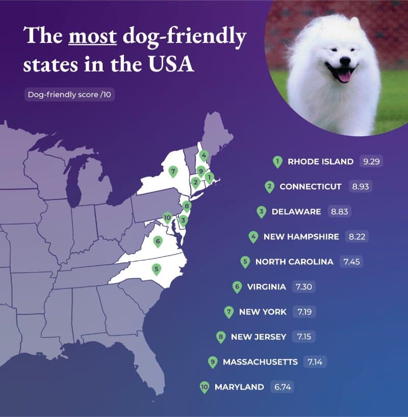The most dog-friendly states in the USA