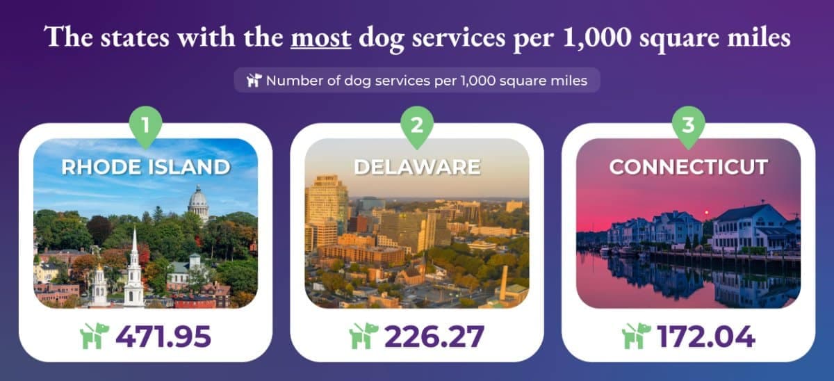 The states with the most dog services per 1,000 square miles
