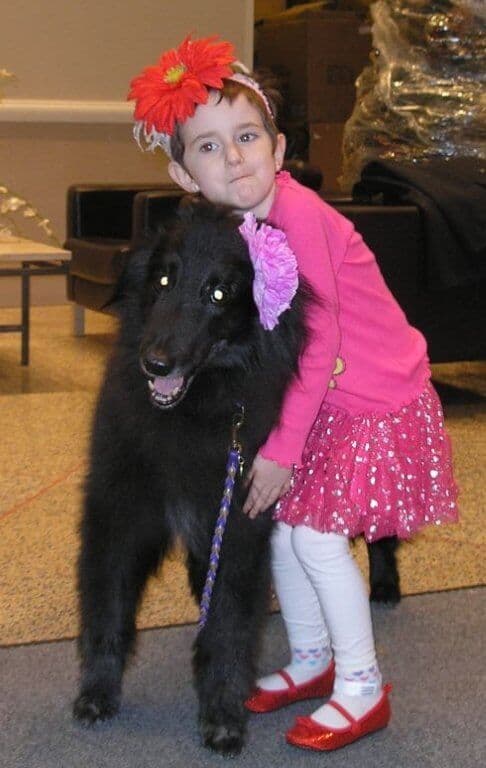 Little girl hugginh a Belgian Sheepdog.