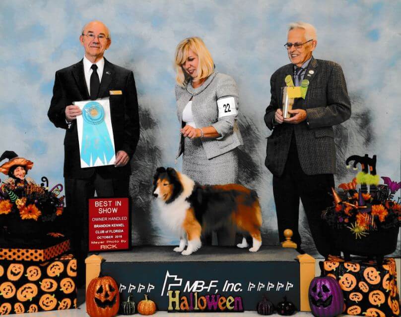 Bella, Best in Show Owner-Handled 2016