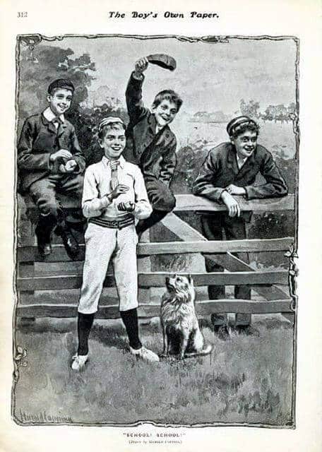 Eskie Baseball