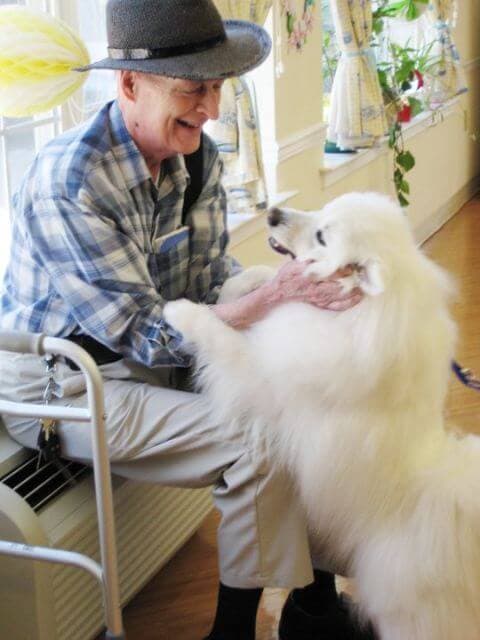 Eskie Therapy