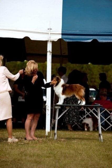 Jacqueline Evans and Izzie, 2008 TBASSC Specialty Show