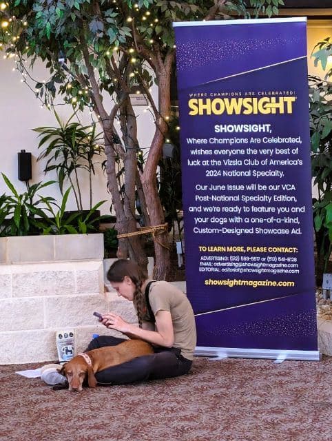 Woman with her Vizsla sitting besides Showsight banner at a 2024 Vizsla National Specialty.
