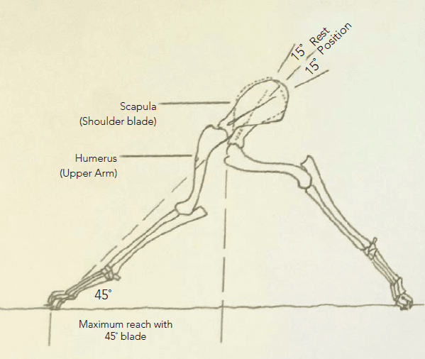 Figure 1: An example of how the shoulder with a proper 45-degree angle will operate