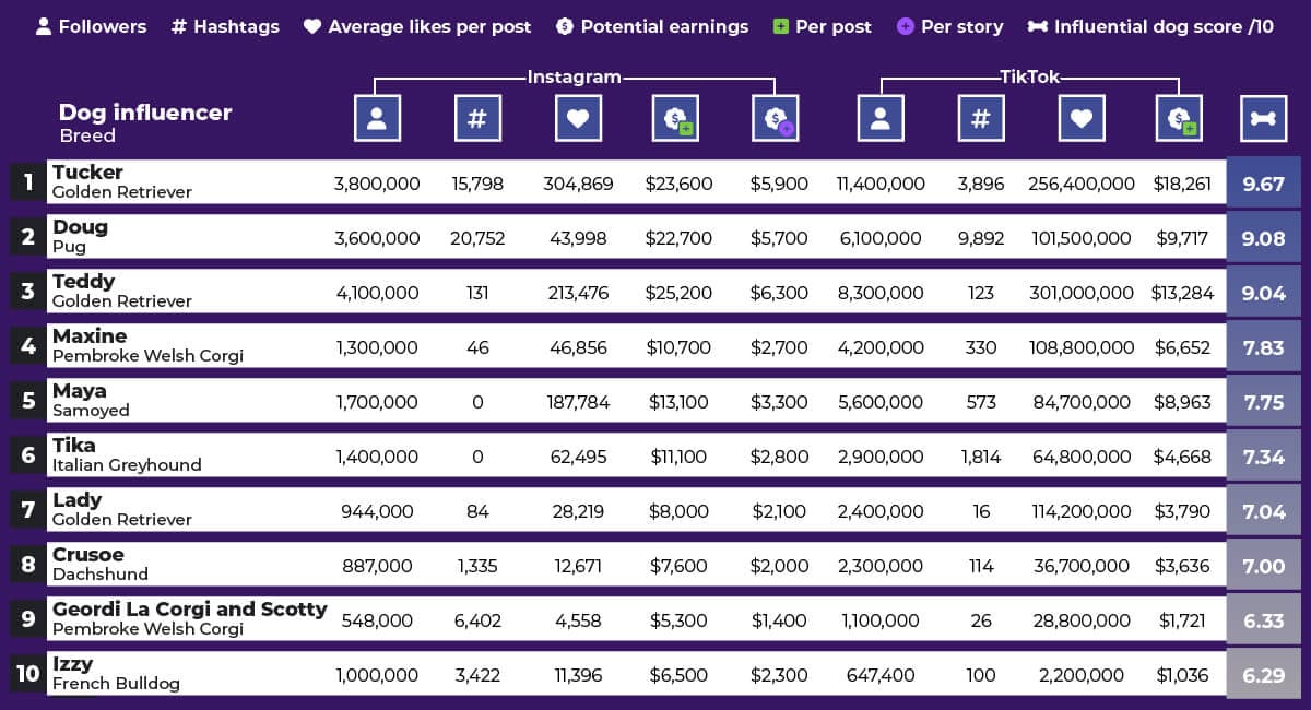 The World’s Most Influential Dogs: Which are the most successful dogs and breeds on social media?