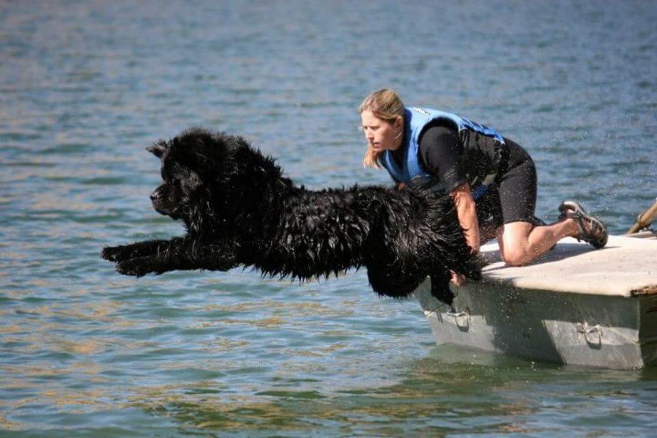 Newfoundland