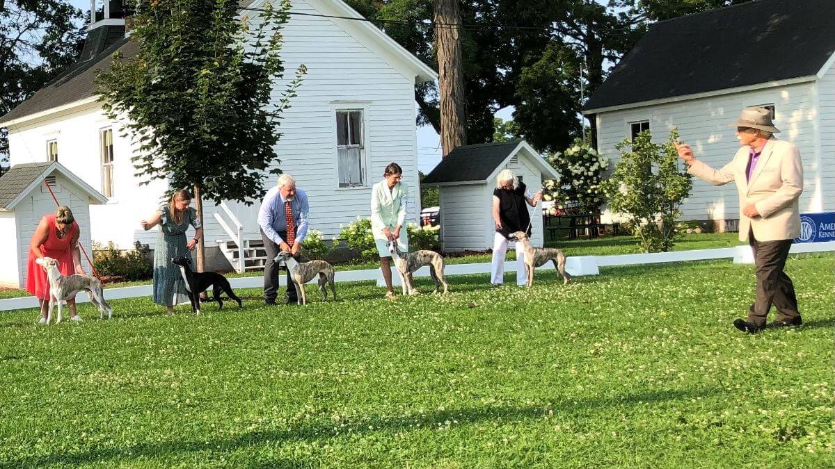 Burlington Wisconsin Kennel Club 2024 Dog Show