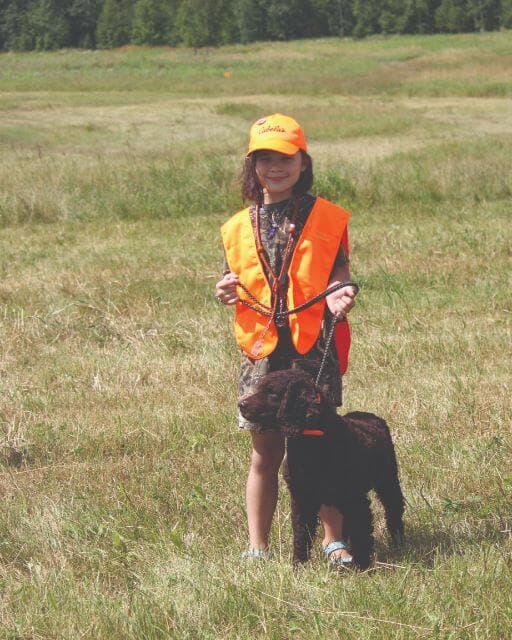 American Water Spaniel