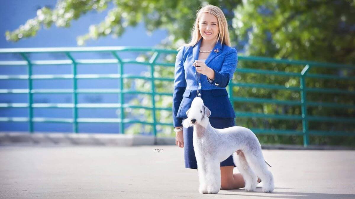 Lydia Frey with a Bedlington Terrier