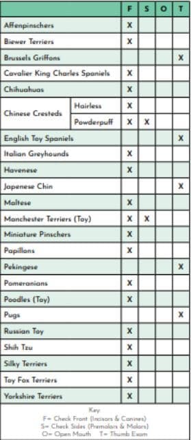 Toy Breeds chart