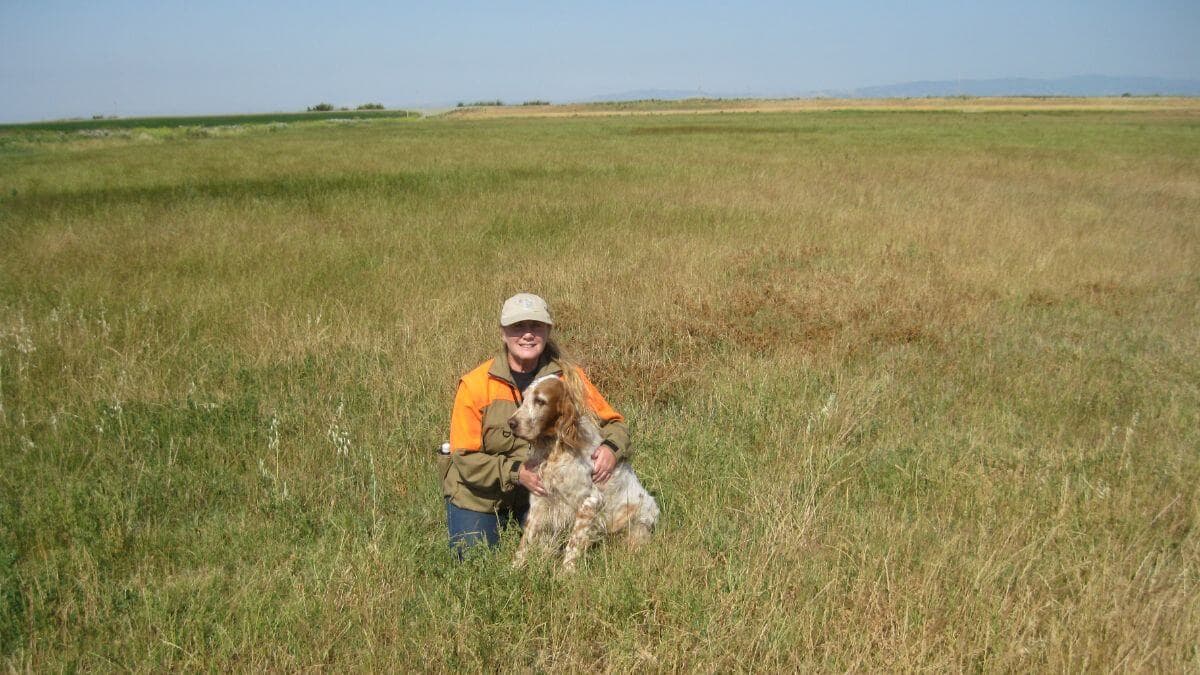 English Setter and a woman in the field.