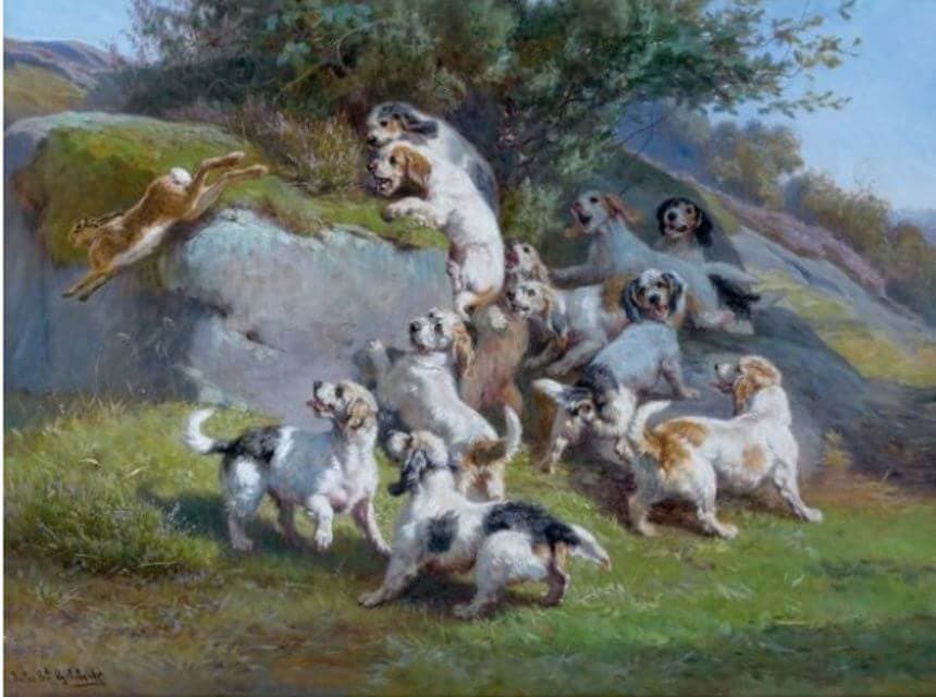 Grand Basset Griffon Vendeen