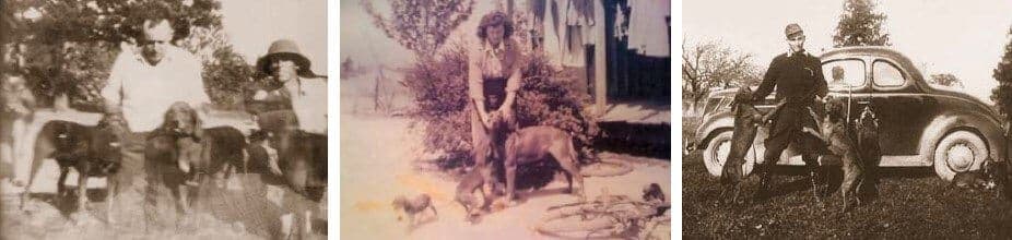 Three old photographs of Redbone Coonhounds with their owners.