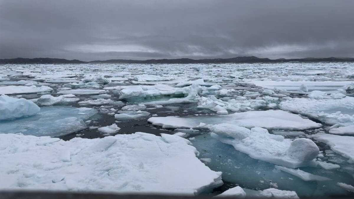 Arctic