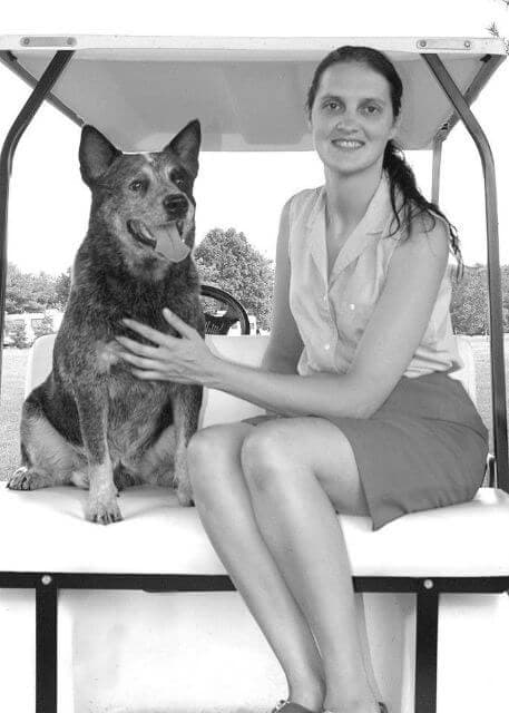 Australian Cattle Dog