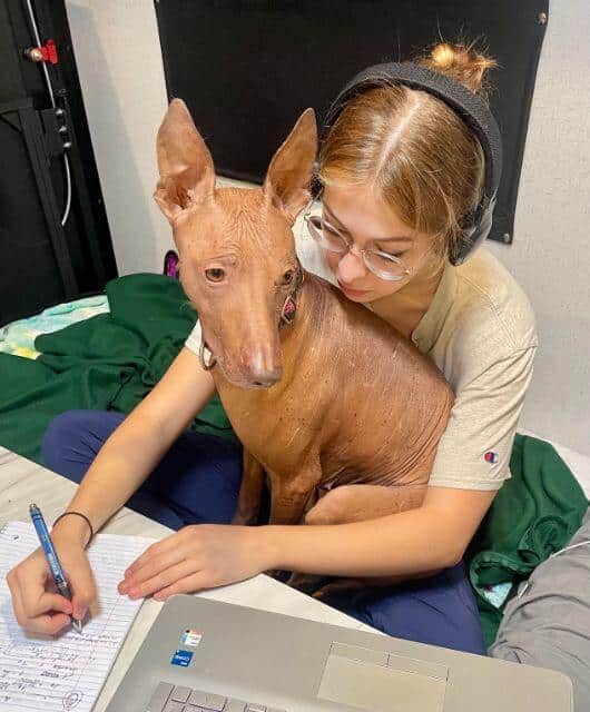 Cocoa Huatuntupaq CM CA DCAT TKN FITB. Cocoa is pictured with her favorite human in the world, Deidre, and has decided there is no such thing as personal space.