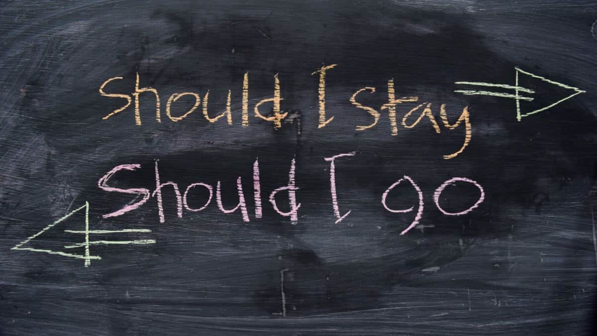 Should Stay Should Go