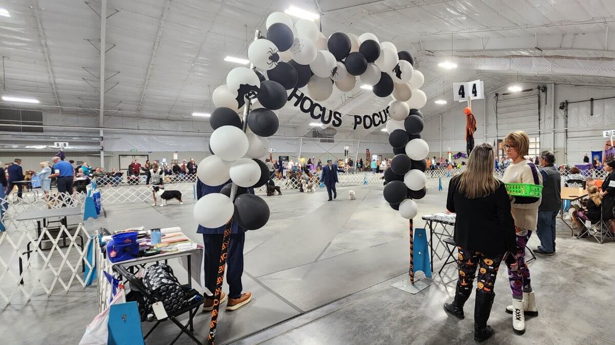 Colorado Springs Kennel Club 2024 Halloween Dog Show