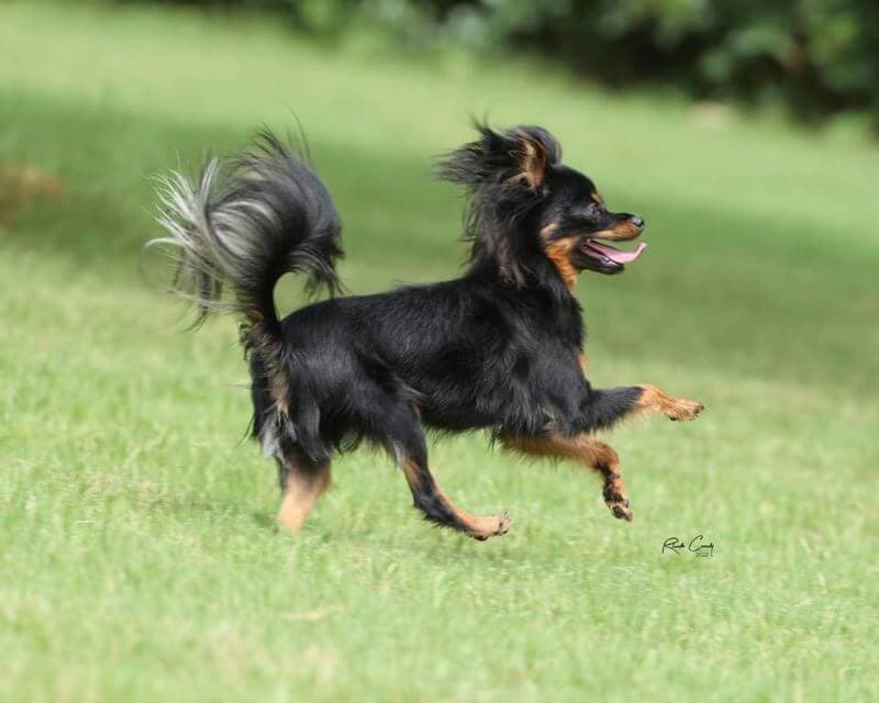 RT-in-Motion-R-Cassidy