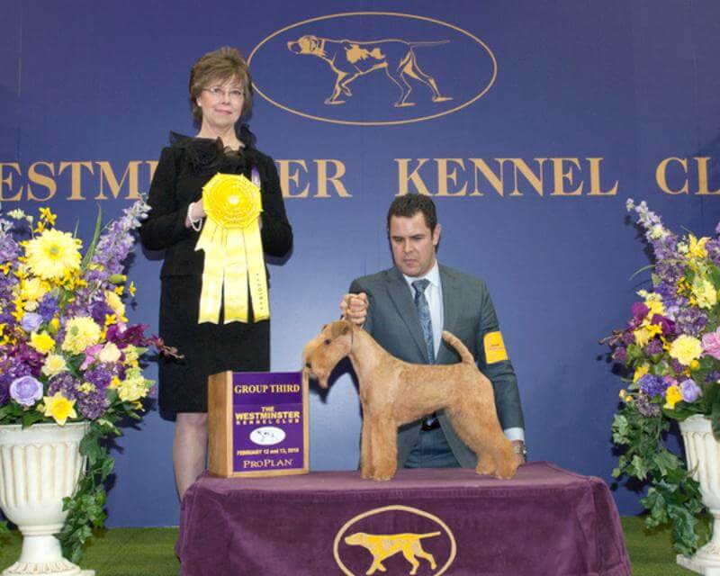 Callie Wkc Group