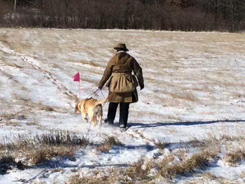 Carly as an adult,running and passing her TDX track under judges Ken Barna and Vincent Ramirez in Smithville, Missouri.