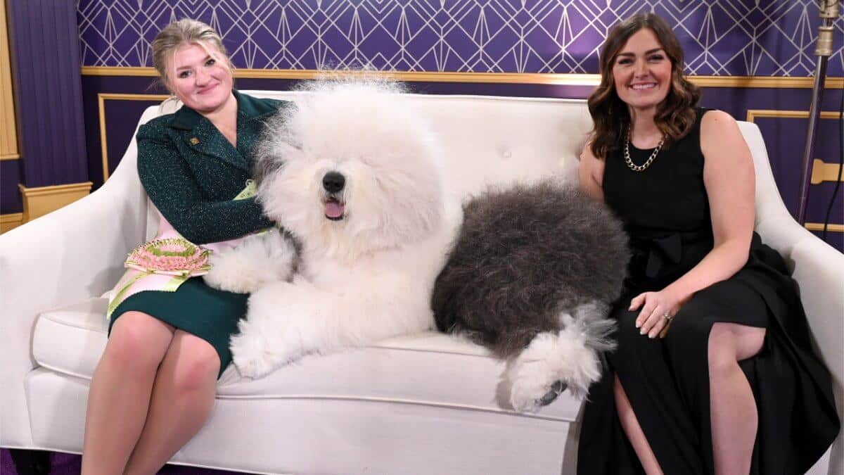 NEW YORK, NEW YORK - FEBRUARY 11: (L-R) Taylor Johnson with her Old English Sheepdog, Bugaboo's Let It Be, winner of Junior Showmanship Finals, and Dr. Molly Brinkmann backstage during the 149th Annual Westminster Kennel Club Dog Show – Junior Showmanship
