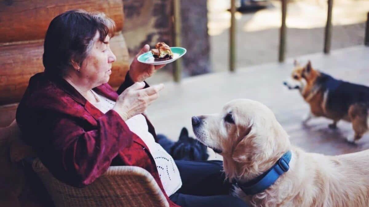 Placing Dogs in Retirement Homes