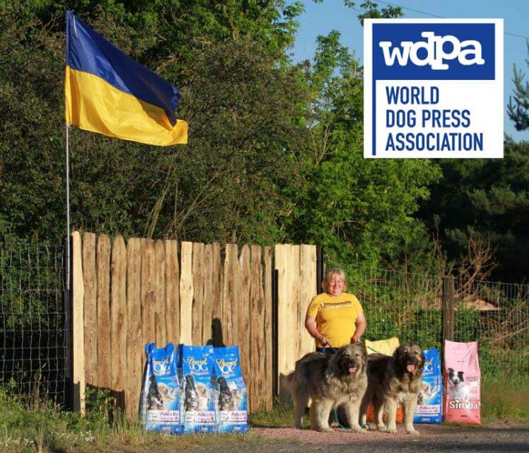 Help arrives at a Caucasian Shepherd Dog kennel near Kyiv